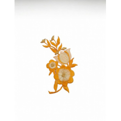 Nažehľovacia aplikácia 43