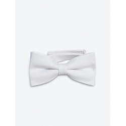 Pánsky piketový motýlik - veľký biely