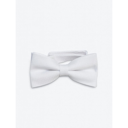 Pánsky piketový motýlik - veľký biely