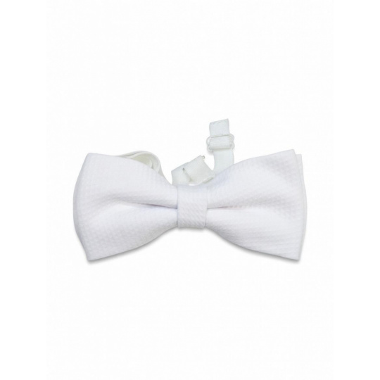 Pánsky piketový motýlik - veľký biely