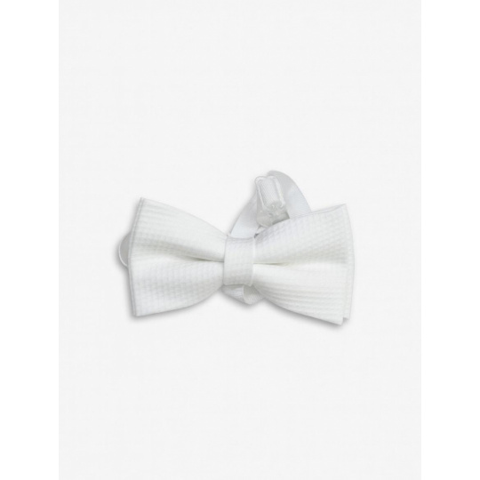 Pánsky piketový motýlik - malý biely