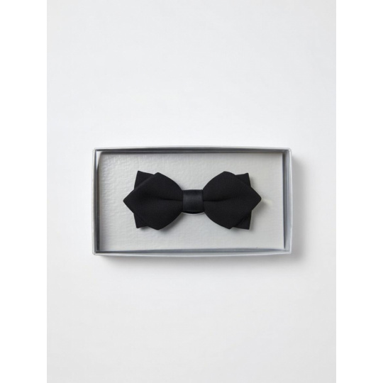 Saténový motýlik RODAN malý