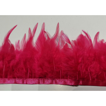 Fuchsia 2