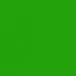 Jersey apple green