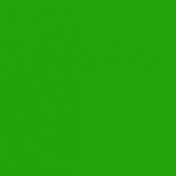 Jersey apple green